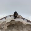 Anillo Cuarzo Humo mini Óvalo - Imagen 4